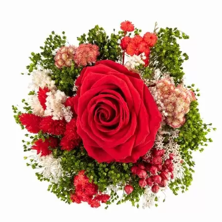 Стабилизированный букет Прекрасный