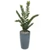 Растение искусственное Замиокулькас в горшке Vase Stone Растение искусственное Замиокулькас в горшке Vase Stone