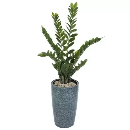 Растение искусственное Замиокулькас в горшке Vase Stone Растение искусственное Замиокулькас в горшке Vase Stone