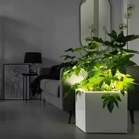 Кашпо Lechuza Canto LED Cube