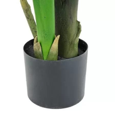 Стрелиция искусственная