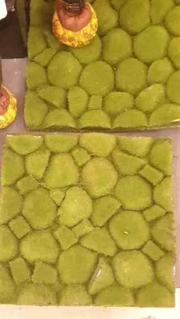 Мох с кочками