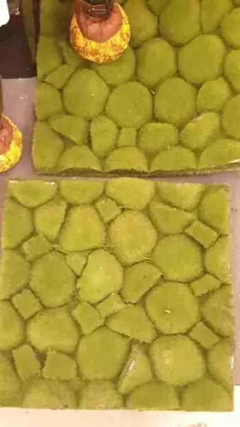 фото Мох с кочками Мох с кочками