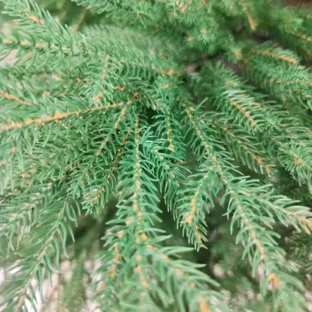 Ель новогодняя искусственная  Ель новогодняя искусственная