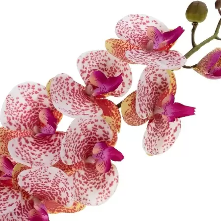 Фаленопсис силиконовый