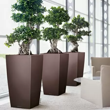 Кашпо Lechuza Cubico Premium