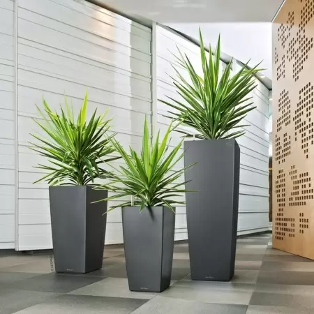 Кашпо Lechuza Cubico Alto