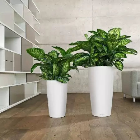 Кашпо Lechuza Rondo matt