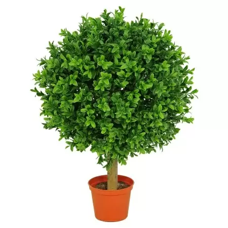 Самшит искусственный Шар в кашпо  Самшит искусственный Шар в кашпо