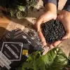 Субстрат Lechuza BLACKSTONEPON Субстрат Lechuza BLACKSTONEPON