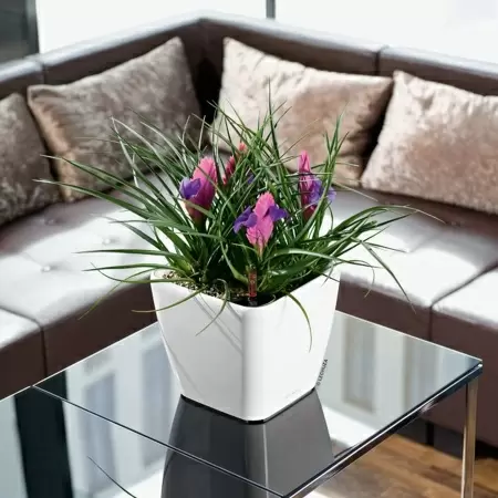 Кашпо Lechuza Quadro LS