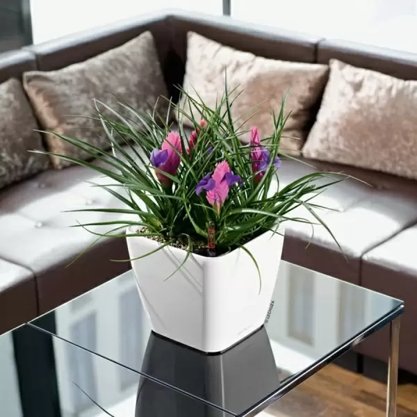 Кашпо Lechuza Quadro LS