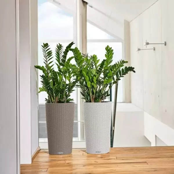 Кашпо Lechuza Cilindro Cottage