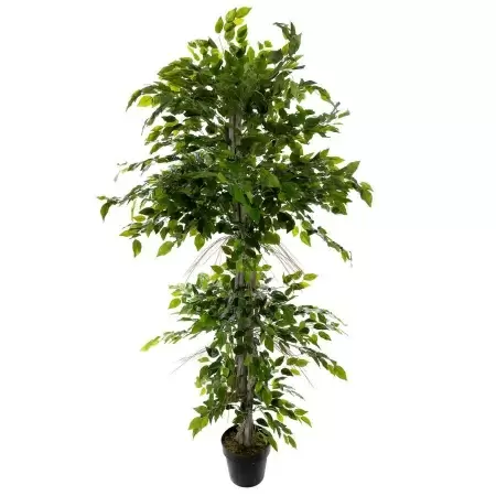 Фикус искусственный