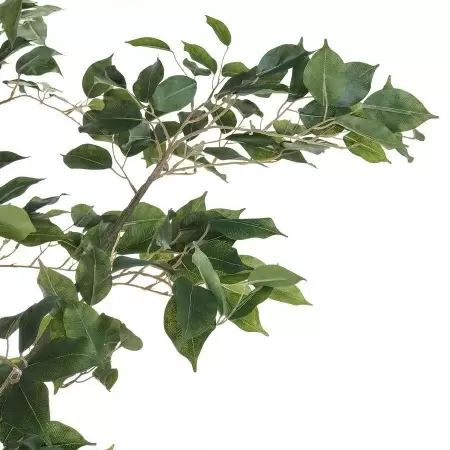 Искусственное дерево Фикус 