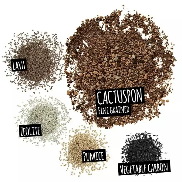 Субстрат Lechuza CACTUSPON