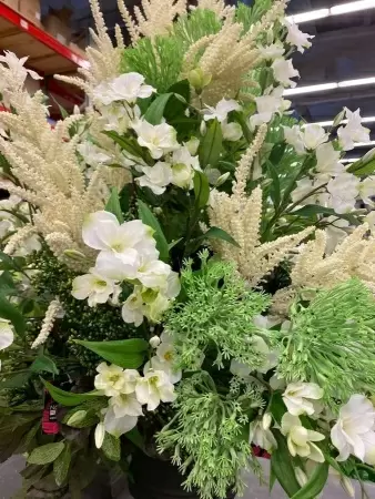 Астильба искусственная