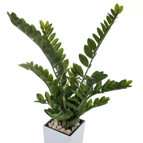 Растение искусственное Замиокулькас в горшке Conic Silk