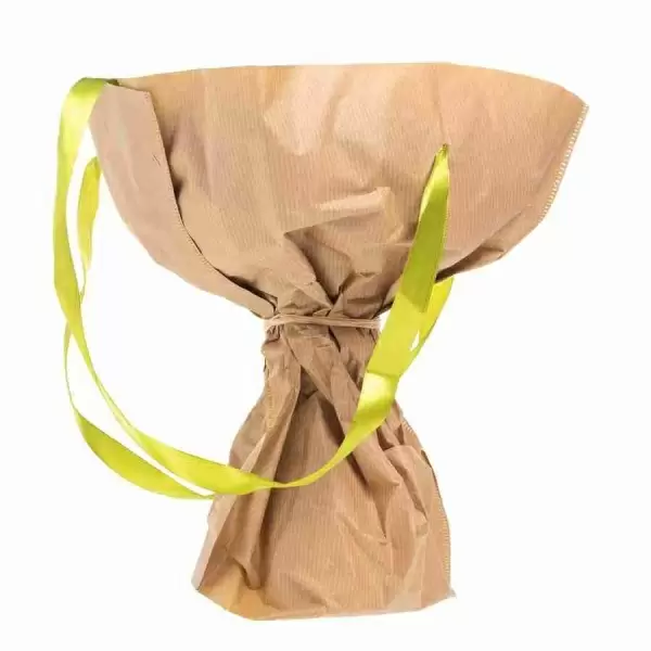 Стабилизированный букет Пшеница красный