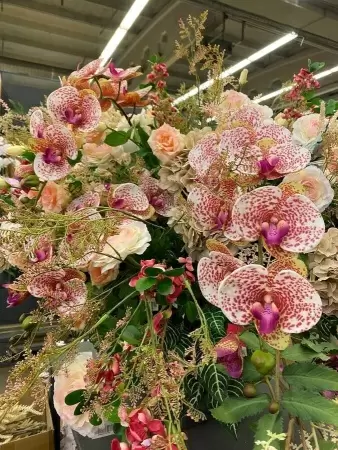 Фаленопсис силиконовый