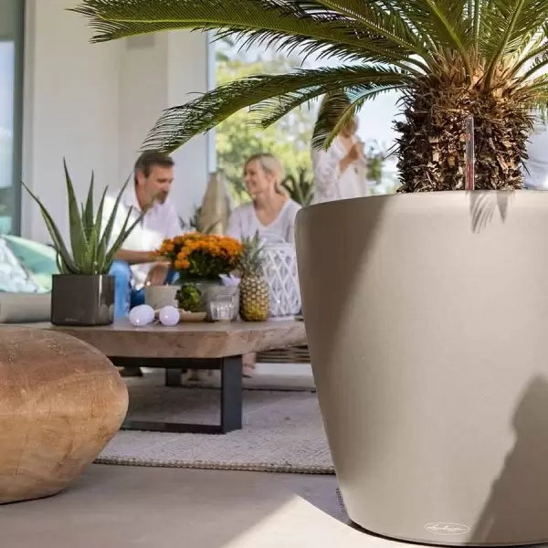 Кашпо Lechuza Classico Color