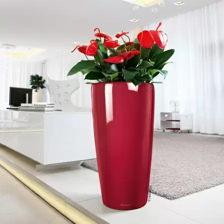 Кашпо Lechuza Rondo