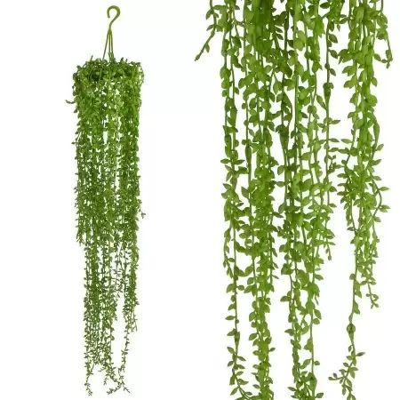 Крестовник Роули искусственный