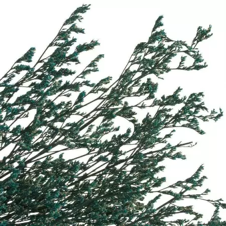 Эрагростис стабилизированный