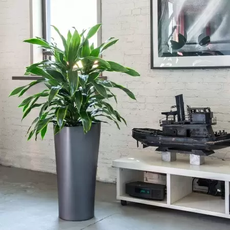 Кашпо Lechuza Delta