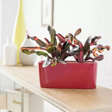 Кашпо Lechuza Delta 10