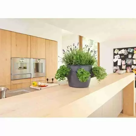 Кашпо Lechuza Cascadino Color Кашпо Lechuza Cascadino Color