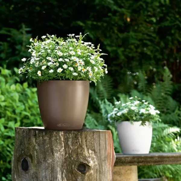 Кашпо Lechuza Classico Color