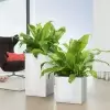 Кашпо Lechuza Canto Cube Кашпо Lechuza Canto Cube