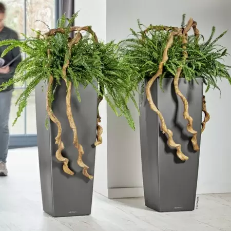 Кашпо Lechuza Cubico Alto