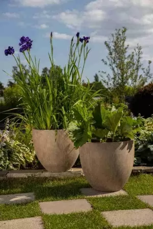 Цветочный горшок Round Terra Washed bowl