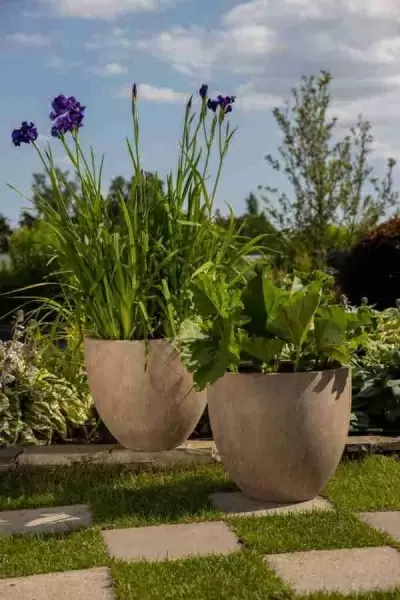 Цветочный горшок Round Terra Washed bowl