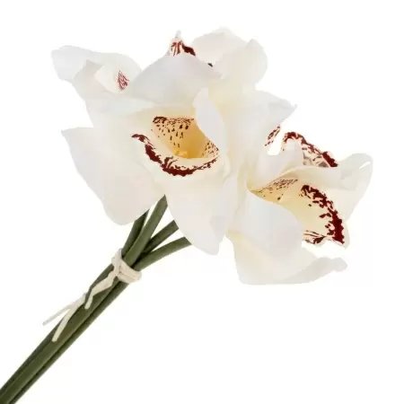 Букет орхидей