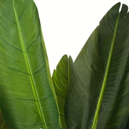 Стрелиция искусственная