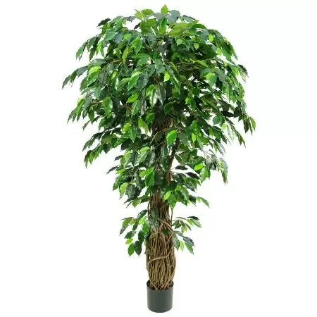 Фикус искусственный