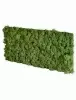 Панель из стабилизированного мха, темно-зеленый