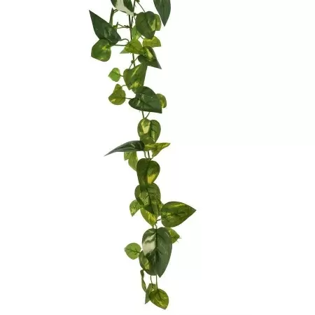 Искусственная лиана Потос