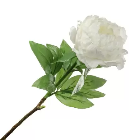 Пион искусственный