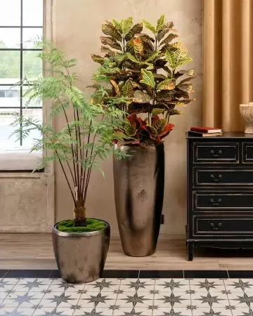 Кротон искусственное дерево