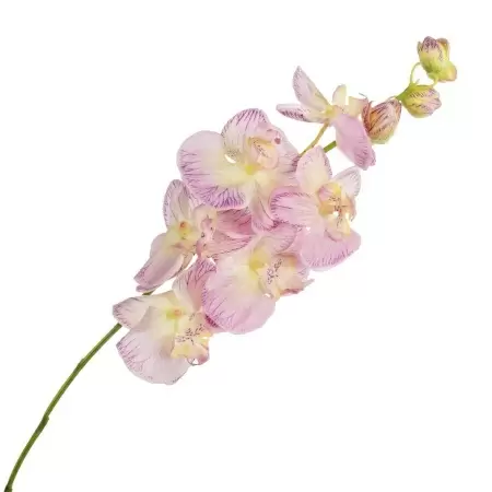 Фаленопсис искусственный 