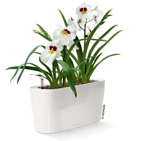 Кашпо Lechuza Delta 20