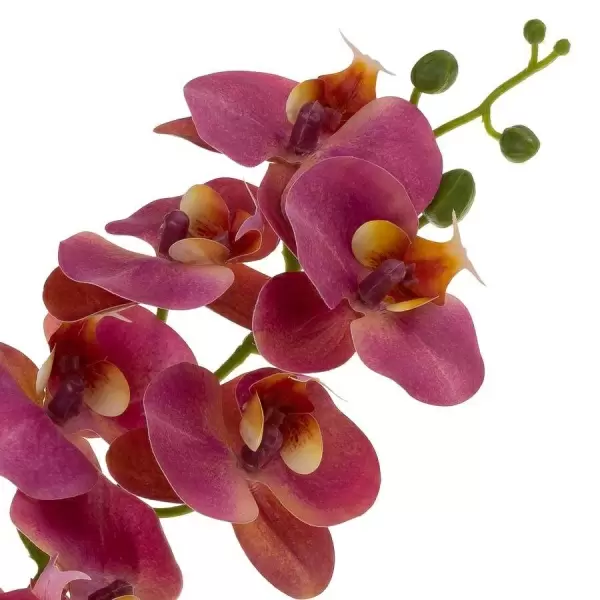 Фаленопсис силиконовый