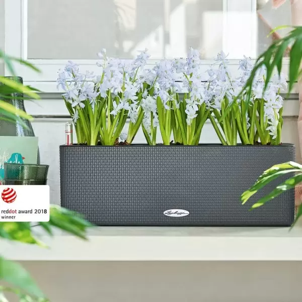 Кашпо Lechuza Cube Color Triple Кашпо Lechuza Cube Color Triple