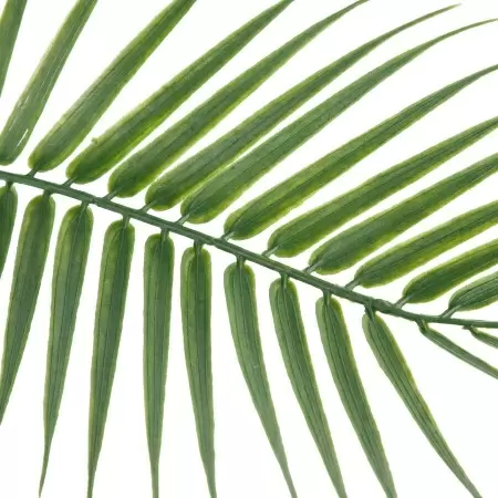 Пальма Арека искусственная