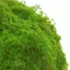 Шар из мха искусственный