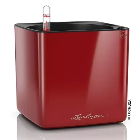 Кашпо Lechuza Cube Glossy